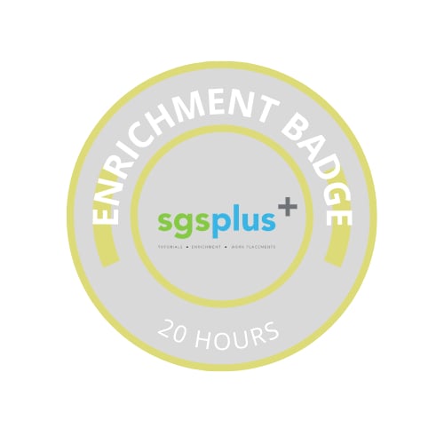 enrichment 20 hours badge